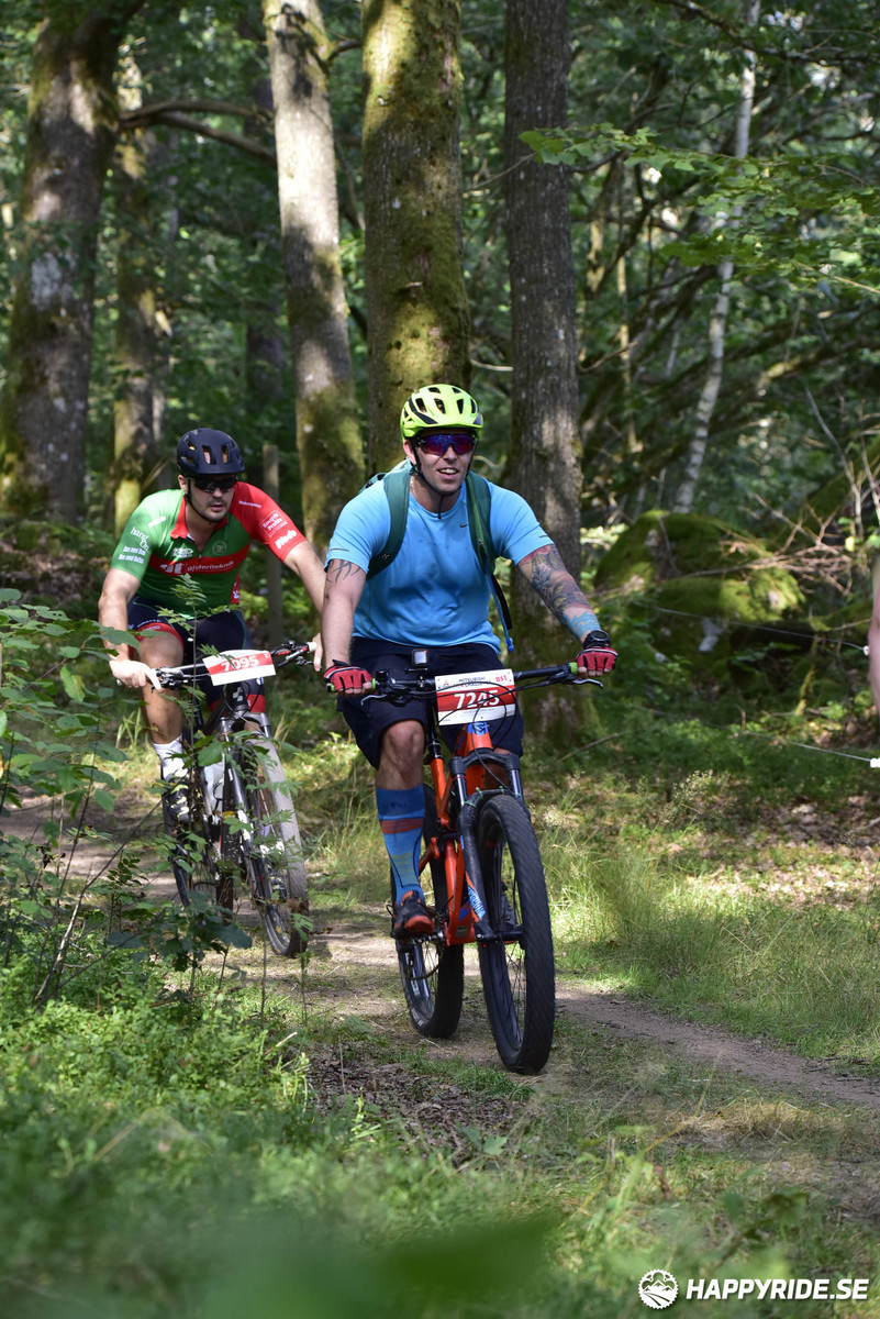 Bild från Bockstensturen 2019